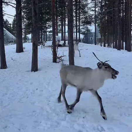 Διαμέρισμα In The Center Of Levi